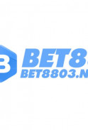 bet8803nett