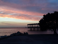 Port in Miami