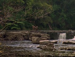 Battle on the River