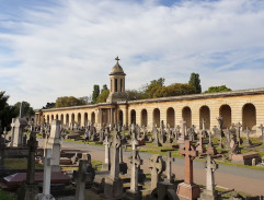 The cemetery