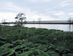 Water canal