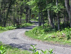 Road to shelter