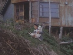 Shelter on the coast