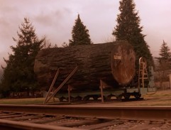 Giant Log