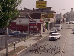 Edward is arriving for Vivian