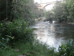 Road near the river