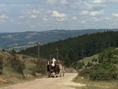 Horse-drawn carriage