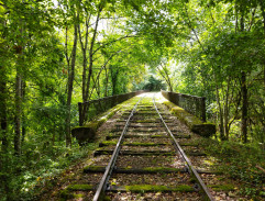 Train on the bridge