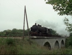 Train on the bridge