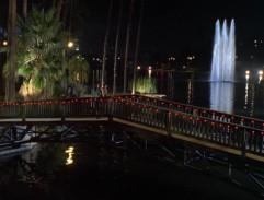 The Bridge in the Park