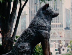 Hachiko Memorial