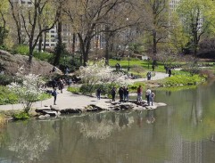 A Photoshoot in the Park