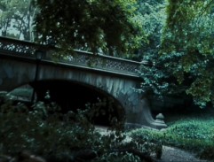 A Shelter in a Park