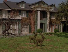 The Rose's House