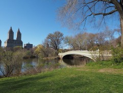 A bridge in the park