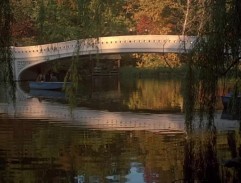 A bridge in the park