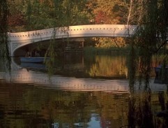 Autumn in New York