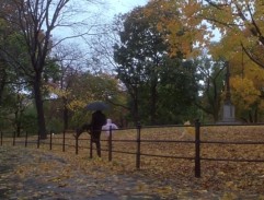 Autumn in New York