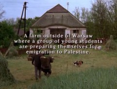 The farm