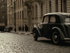 Anthropoid