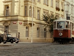 Anthropoid