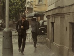 Anthropoid