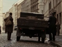 Anthropoid