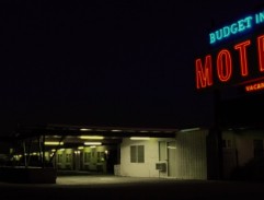 Nocturnal Animals