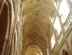 The vault of the cathedral