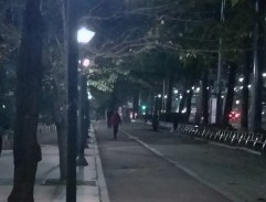 Behind tree