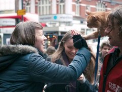 A Street Cat Named Bob