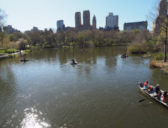 Romance in Central Park