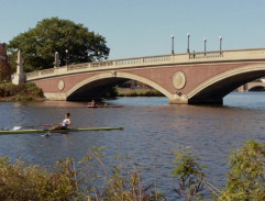Bridges