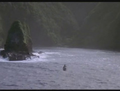 Reefs - Isla Nublar