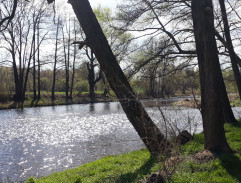 On the river