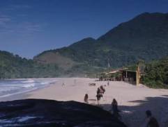 Bar on the beach