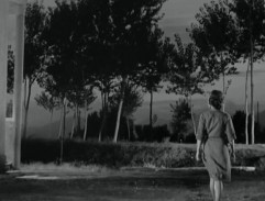 Searching for Rosetta