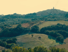 View of the city Pescia