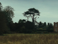 The Country House