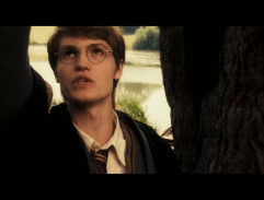 Severus Snape's memories