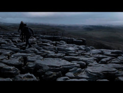 Harry and Hermione have Apparated