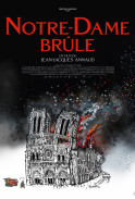 Notre-Dame on Fire