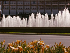 In front of the hotel