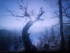 View of the landscape