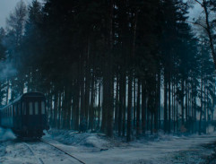 Train on the forest railway