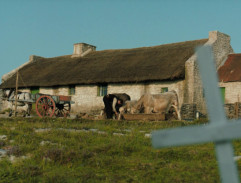 Pádraic's house