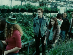Twilight