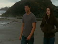 The Twilight Saga: New Moon