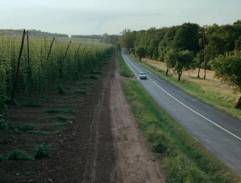 Hop garden