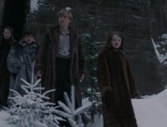 The Chronicles of Narnia: The Lion, the Witch and the Wardrobe